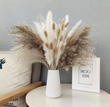Pampas Grass 70Pcs Dried Pampas Grass 45 Pcs Reed Grass 10 Pcs Cream White Pampas Grass