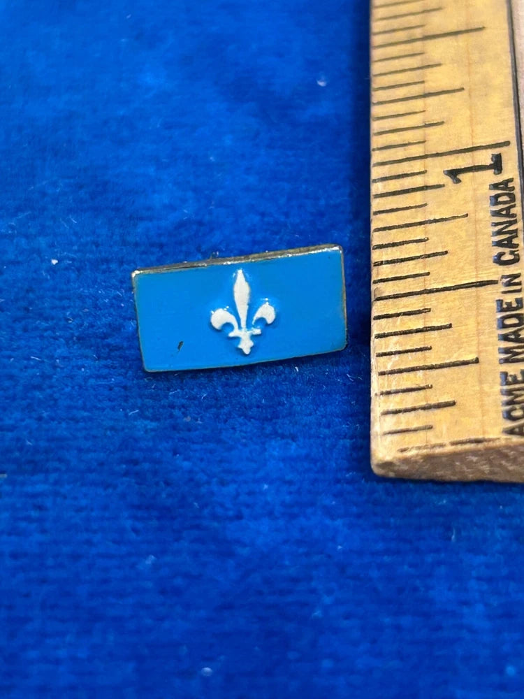 Rectangular enamel lapel pin with white fleur-de-lis on blue background, silver border.