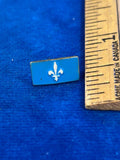 Politique Quebec Lily Flower Emblem Politic vintage Lapel Pin READ Lily