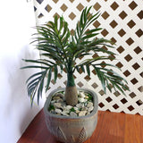 14" Height Artificial Cute Bottle Small Tree Fake 8 Leaves Green Plant