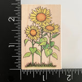 All Night Media Sunflowers Flower Patch Garden 473F Wood Mounted Rubber Stamp Sunflower