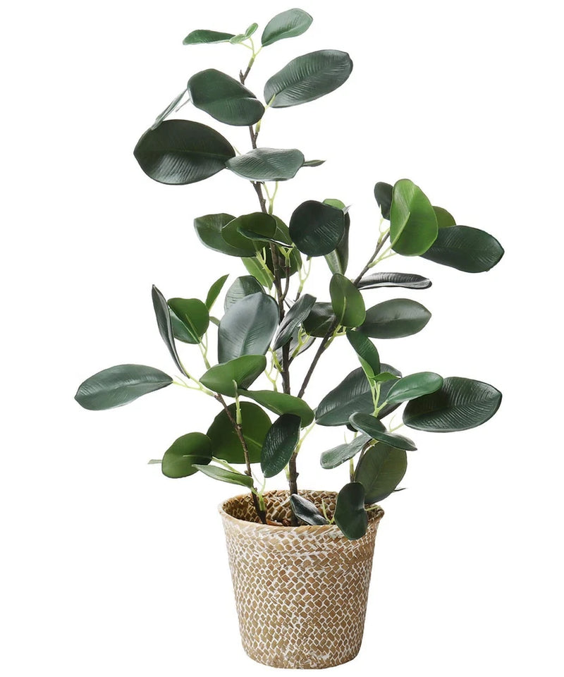 Small artificial ficus tree with green leaves in a woven textured pot