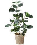 Artificial Ficus Tree Small Fake Plants in Weaved Pot 20" Height for Living R... Green Plant