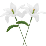 2-Pack Crochet Flowers, Knitted Artificial Wool Lily Flowers [White] Lily