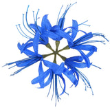 Artificial Flower Heads (7 Inch, Blue) 1 PCS - Spider Lily Silk Flowers Lily