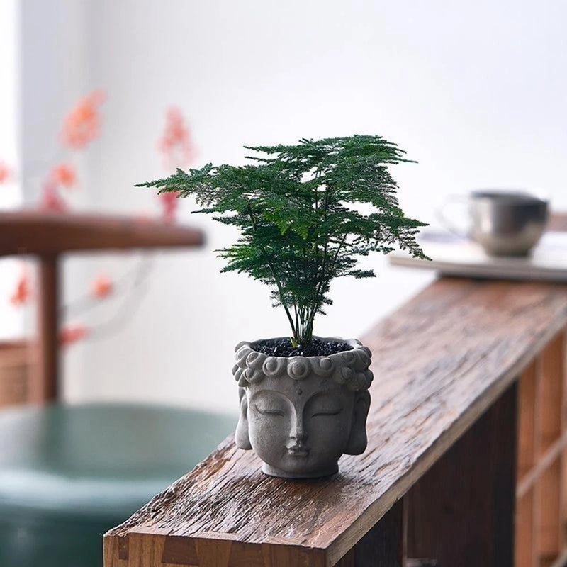 Buddha Head Flower Pot Planters Decors Container for Garden Office Desktop Garden Plants