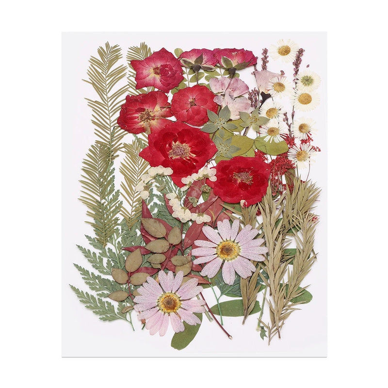 50 Pcs Dried Pressed Flower Leaves Bulk for Resin, Romantic Roses Dried Flower