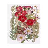 50 Pcs Dried Pressed Flower Leaves Bulk for Resin, Romantic Roses Dried Flower