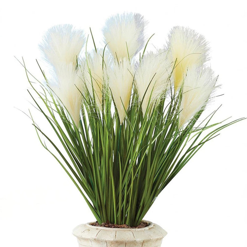 Pampas Grass Picks Set Of 3 Pampas Grass