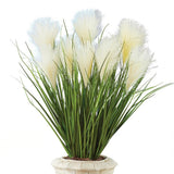 Pampas Grass Picks Set Of 3 Pampas Grass