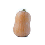 25+ Honeynut Squash Seeds for Garden Planting - USA - FREE SHIPPING! Garden Plants