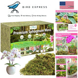 Sphagnum Moss for Plants 4.4lbs Natural Orchid Repotting and Decor Orchids