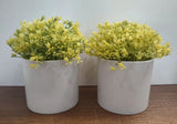 Threshold Potted Faux Plant Lot Of 2 Pright Yellow Flower White Pot A15 Green Plant