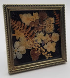 Vintage Dried Flowers & Ferns in Brass Square Frame Small 3 5/8" x 3 5/8" Dried Flower