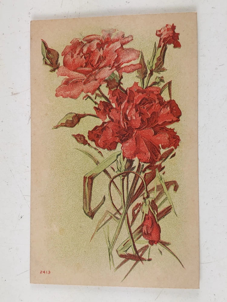 Pink Carnation Postcard Floral Bouquet Divided Back Unposted 2413 c1910 Carnation