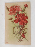 Pink Carnation Postcard Floral Bouquet Divided Back Unposted 2413 c1910 Carnation