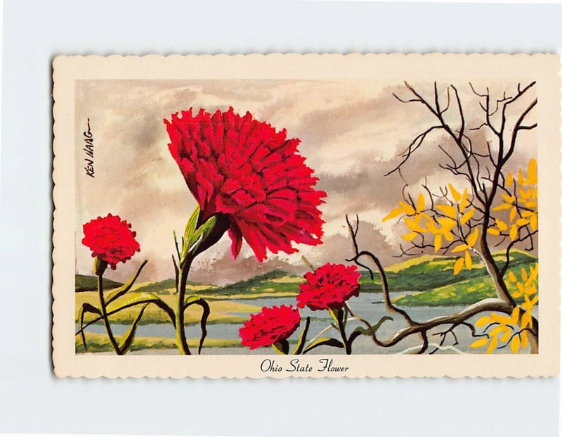 Postcard Scarlet Carnation Ohio State Flower Ohio USA Carnation