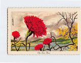 Postcard Scarlet Carnation Ohio State Flower Ohio USA Carnation