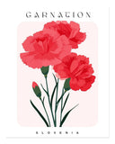 Carnation Flower Wall Art Poster - Elegant Floral Home Decor Carnation