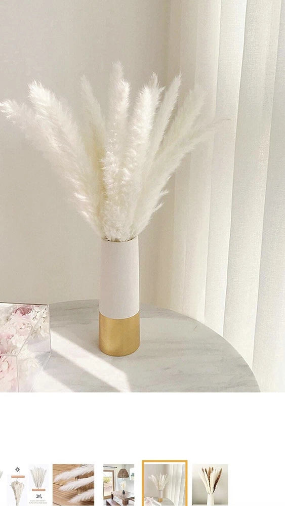 White Pampas Grass, Dried Pampas Grass Branches/ Decor (60 pcs) Pampas Grass