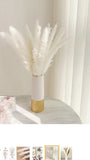 White Pampas Grass, Dried Pampas Grass Branches/ Decor (60 pcs) Pampas Grass