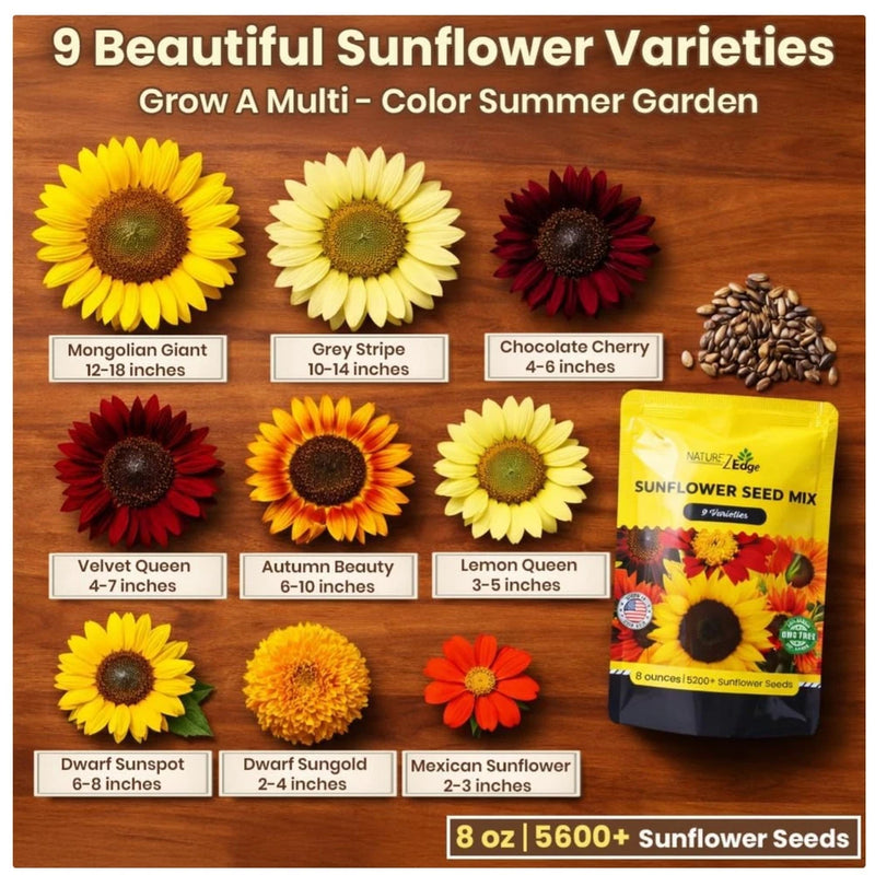 Non-GMO Sunflower Seeds Variety Pack - 5200+ Seeds Sunflower