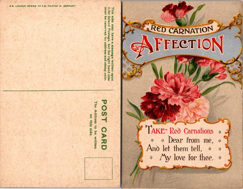 Postcard Red Carnation Affection Flowers Greetings Carnation