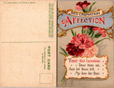 Postcard Red Carnation Affection Flowers Greetings Carnation