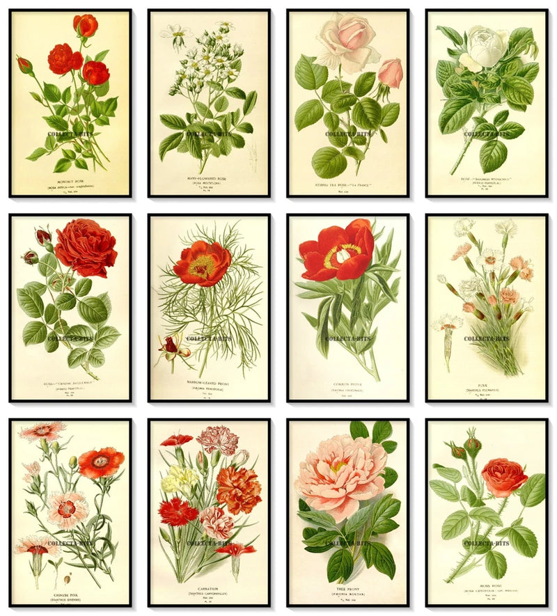 Set of 12 botanical art prints with pink and rose flowers, 8x10