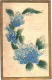 Birthday Greetings Hydrangea Flowers Embossed 1915 Birthday Vintage Postcard Hydrangea
