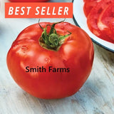 50+ Seeds Rutgers Tomato Hybrid Juicy Easy to Grow Vegetable Garden Planting Garden Plants
