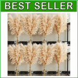 Elegant 40" Pampas Grass Stems - Ideal for Boho Decor and Floral Arrangements Pampas Grass