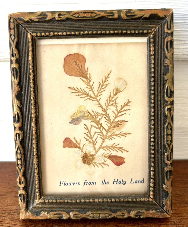 Small framed dried flower artwork with ornate dark gold frame and botanical print
