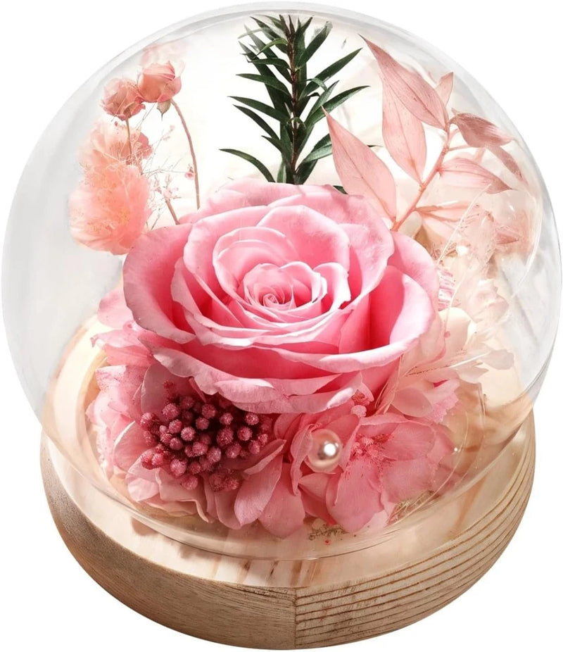 Preserved pink rose flower in clear dome with wooden base