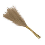 Faux Pampas Grass Fake Pampas Grass Decor, 21"/55cm / Brown / 15 Pcs Pampas Grass