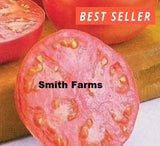 50+ Seeds Pink Girl Tomato Easy to Grow Vegetable Garden Planting Garden Plants