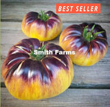50+ Seeds Solar Eclipse Tomato Easy Vegetable Garden Planting Edible Garden Plants