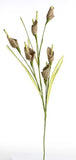 6 Stems of Natural Burlap Calla Lily Flowers - Each Stem 18" Long Lily