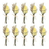 10 Pcs Mini Forget-me-not Dried Flower Bouquet Baby's Breath Boho Yellow Dried Flower