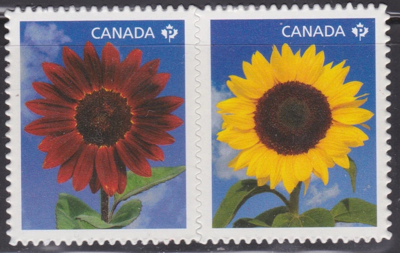 Two Canada postage stamps, side-by-side sunflowers in red-brown and yellow, uncanceled.