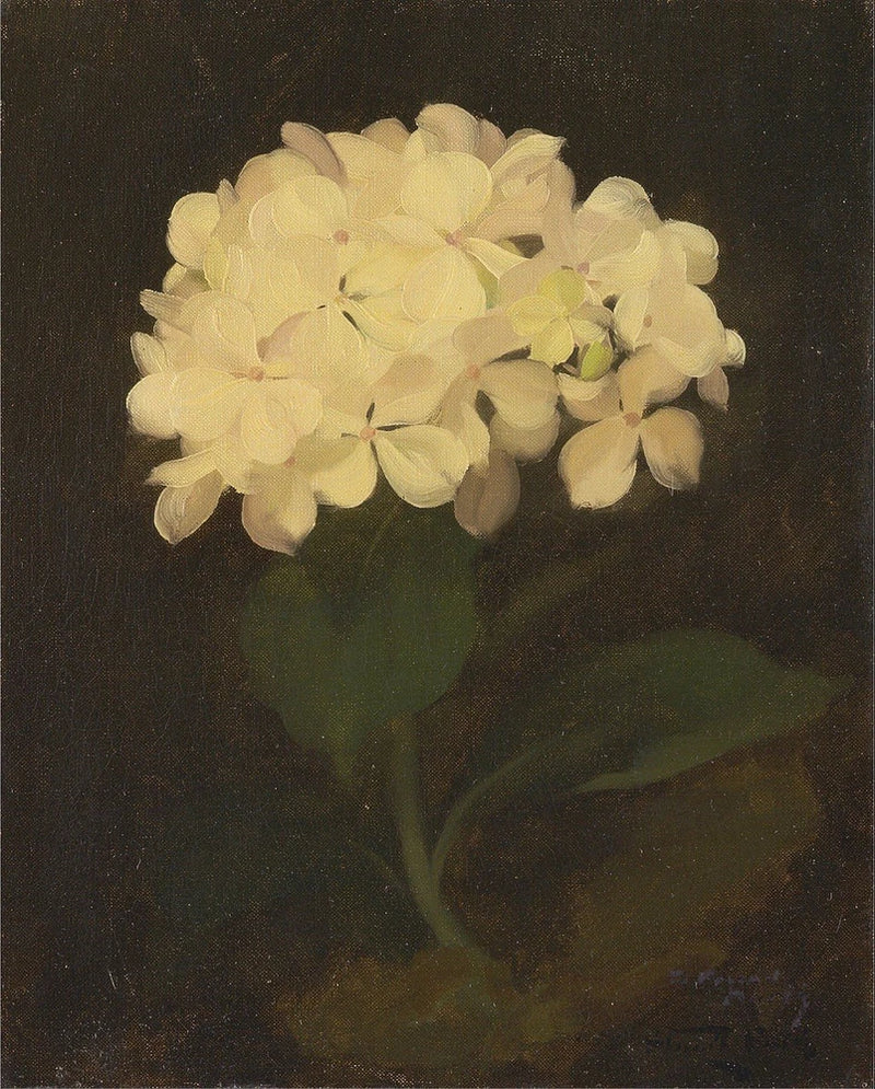 1800s Antique Hydrangea Painting Reproduction Giclee Print Fine Art Paper Hydrangea