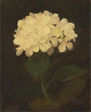 1800s Antique Hydrangea Painting Reproduction Giclee Print Fine Art Paper Hydrangea