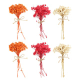 6 Pcs Mini Dried Flower Bouquet Baby's Breath Boho DIY Gift Orange/Red/White Dried Flower