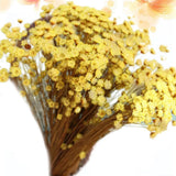 100pcs Lovely Mini Daisy Decorative Dried Flowers Small Star Flower Natural Dried Flower