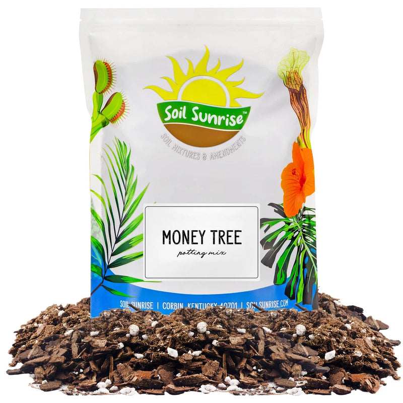 Money Tree Potting Soil Mix; Custom Blend for Money Plant Container Gardening Garden Plants