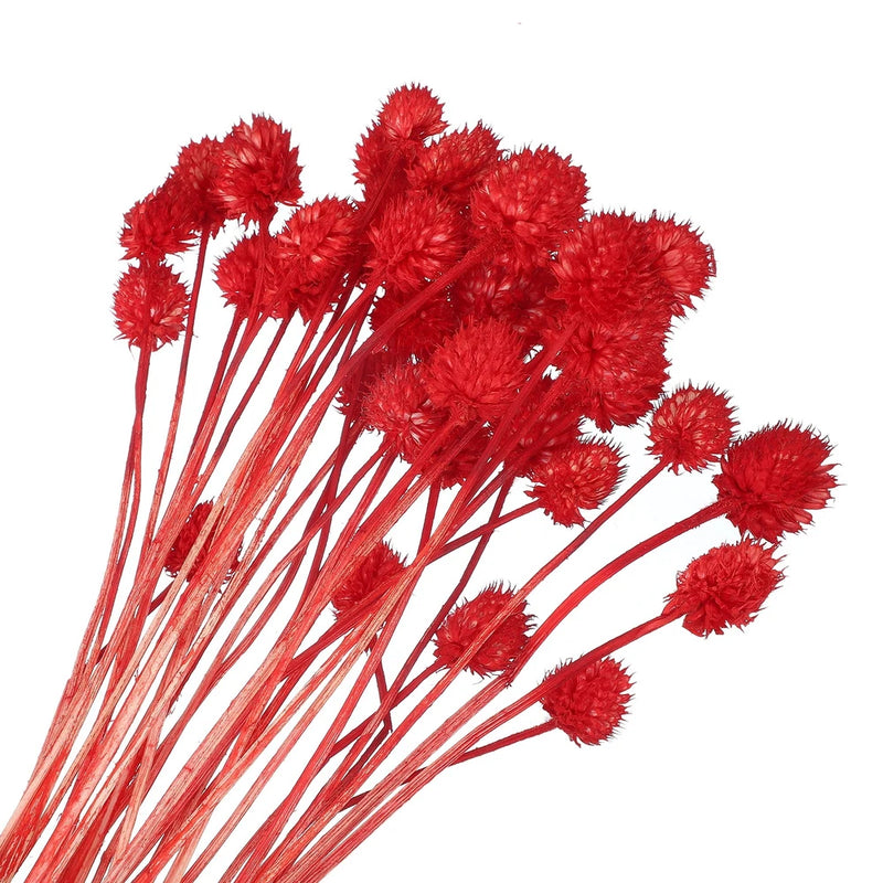 30 Pcs 16 Inch Dried Flowers for Vase Mini Pine Ball Flowers Red(Stem) Dried Flower