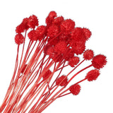 30 Pcs 16 Inch Dried Flowers for Vase Mini Pine Ball Flowers Red(Stem) Dried Flower