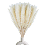 30 Pcs White Pampas Grass ,17 inch/45 cm Natural Dried Pampas Grass Branches Pampas Grass