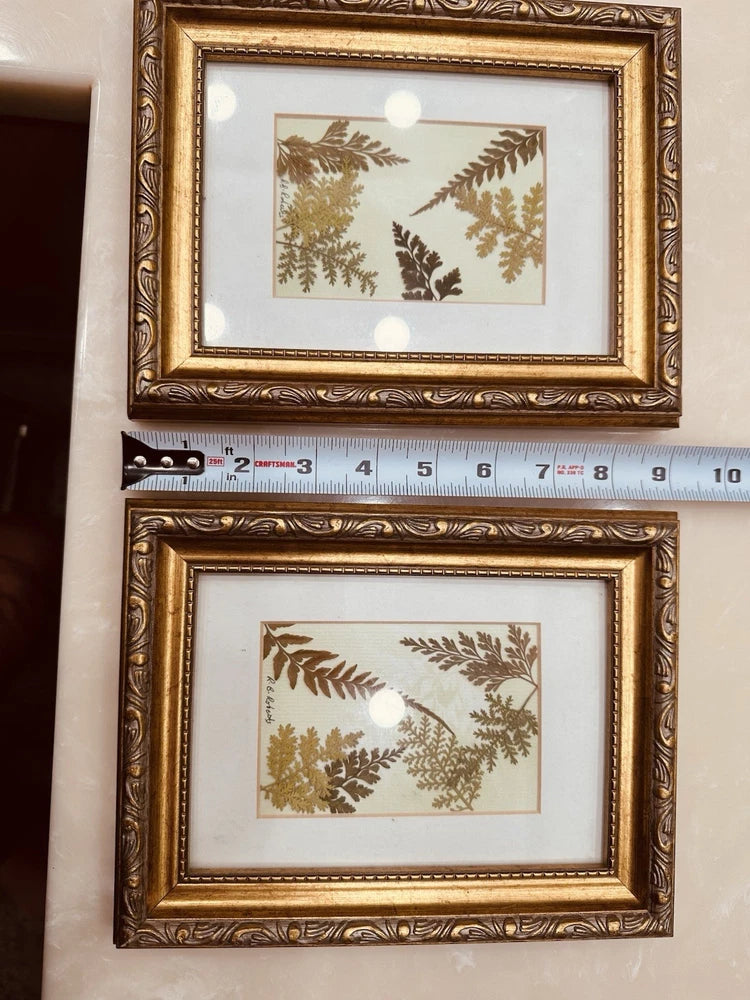 Two framed pressed foliage botanical wall pictures with gold ornate frames and tan leaf prints
