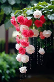 Imported Weeping begonia flowers bulbs | lite pink flowers bulbs- Pack of 2 Bulb Roses